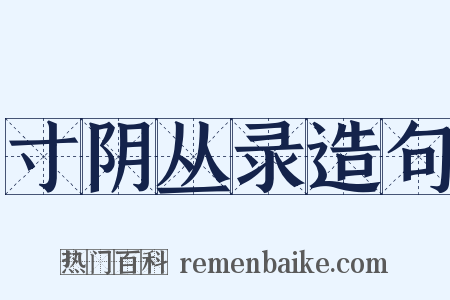 寸阴丛录造句是什么意思的图片